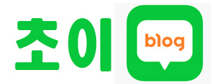 초이블로그